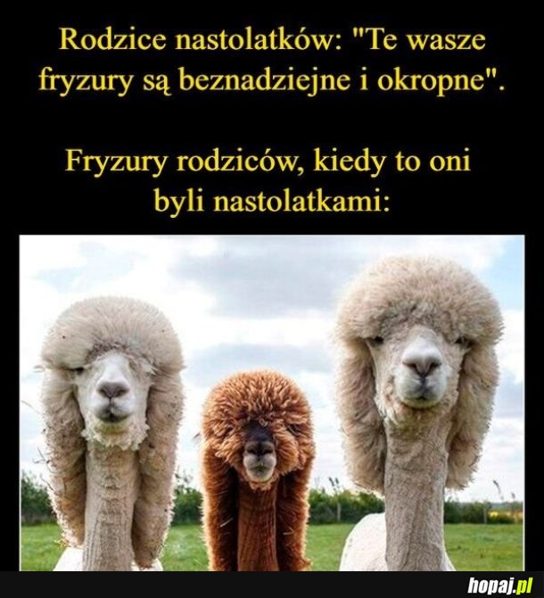 Fryzury