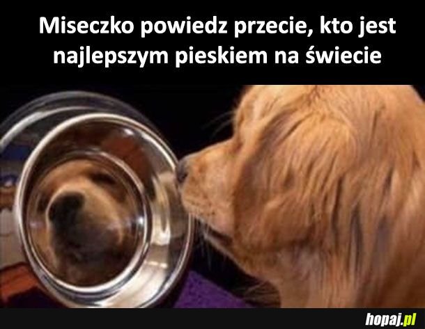 Miseczko