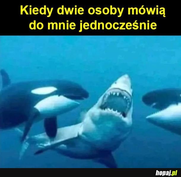 Dajcie mi spokój