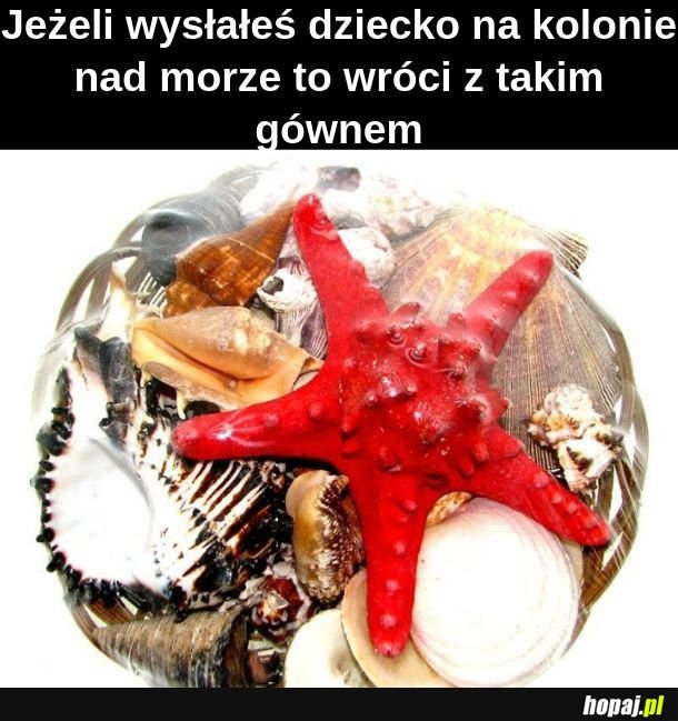  Pamiątki