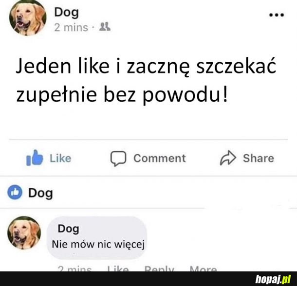 Co ten pieseł