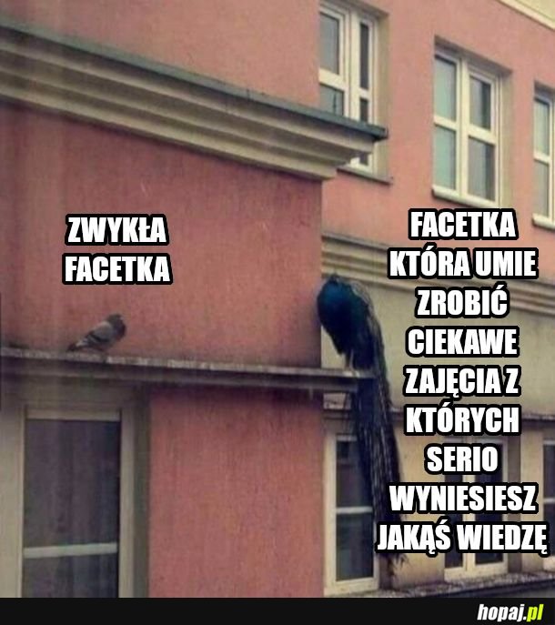 Tak to widze