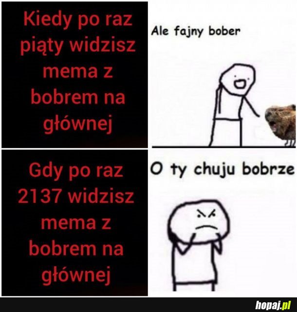 Mem z bobrem