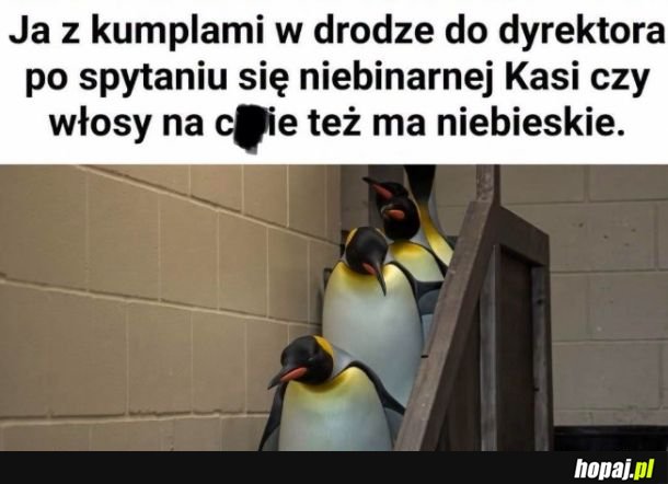 Witamy