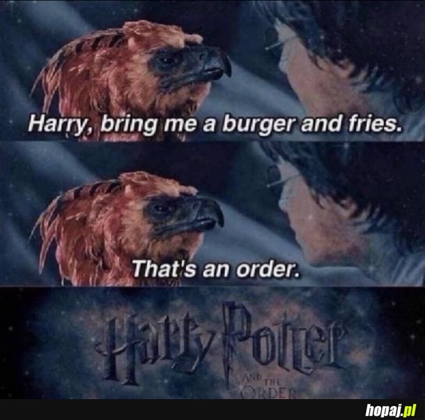 Order of the Phoenix