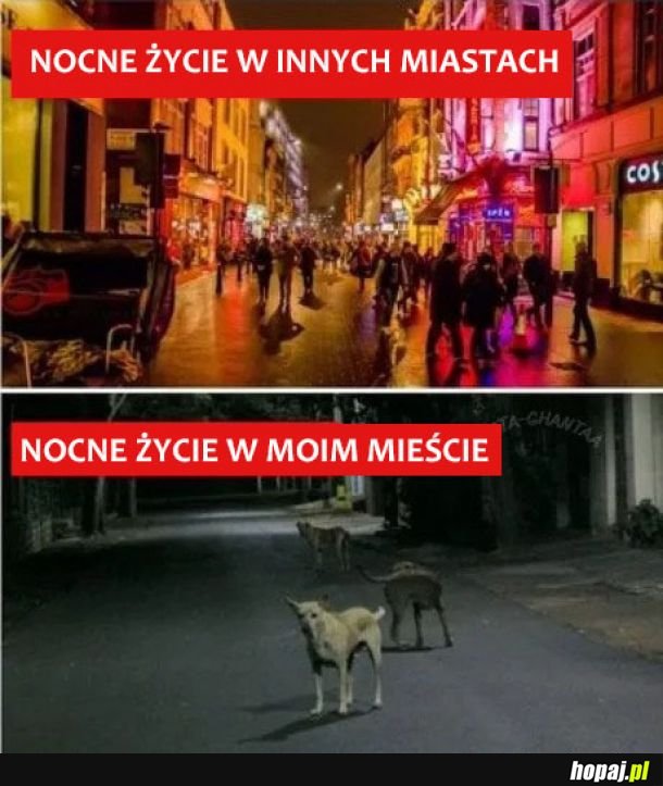 Nocne życie