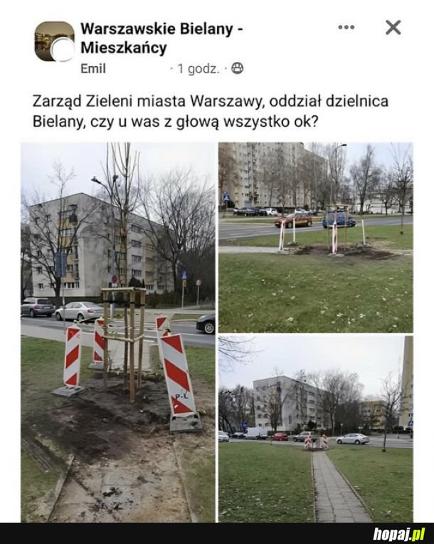 Mądre głowy