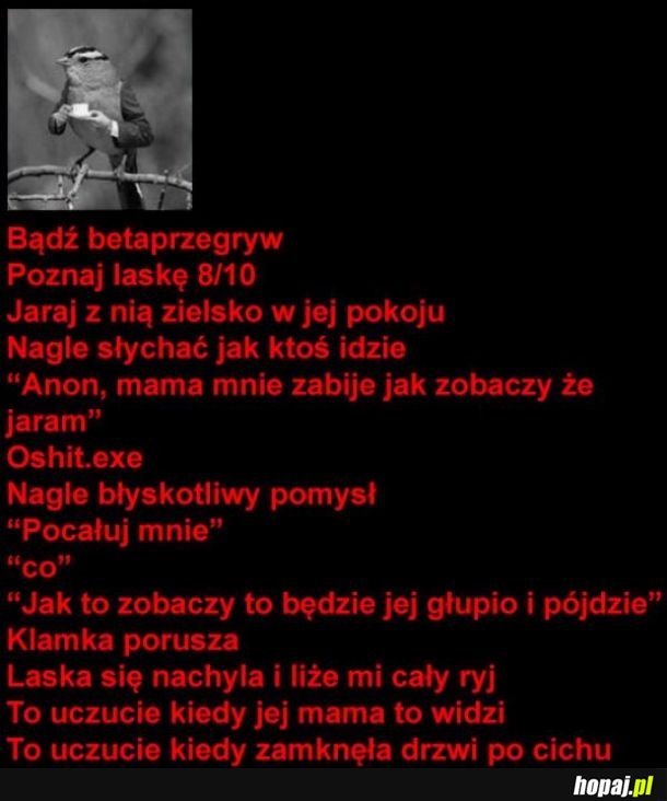 Najlepiej