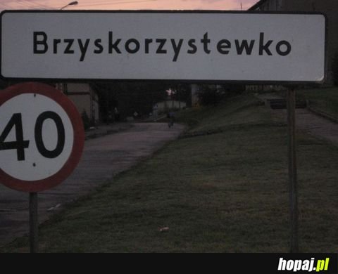 Brzyskorzystewko