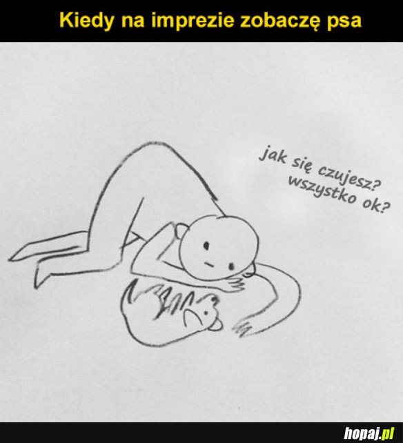 Pieseł na imprezie