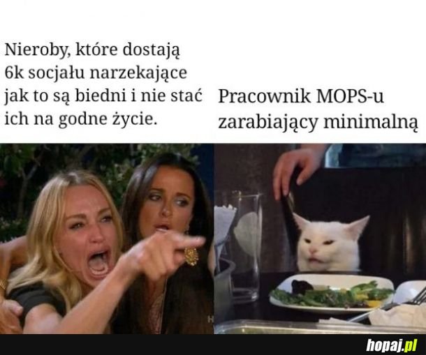  Tymczasem w MOPS-ie