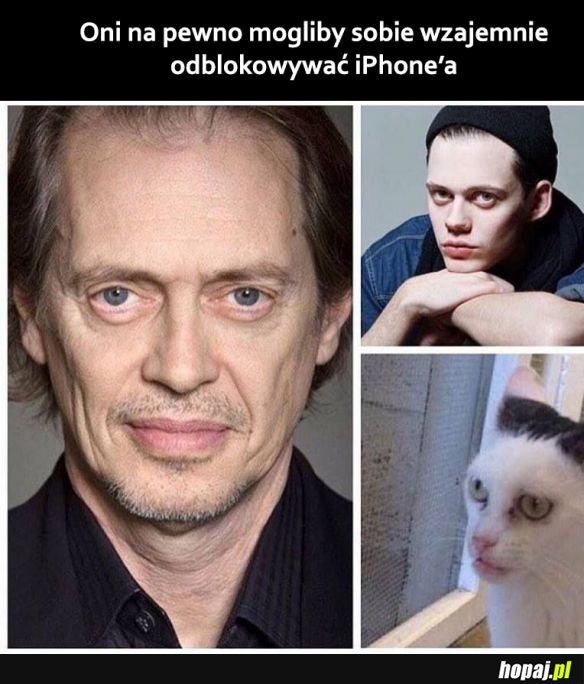 Podobieństwo 100%