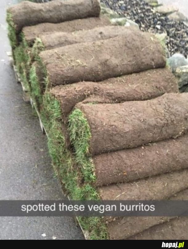 Wegańskie burrito.