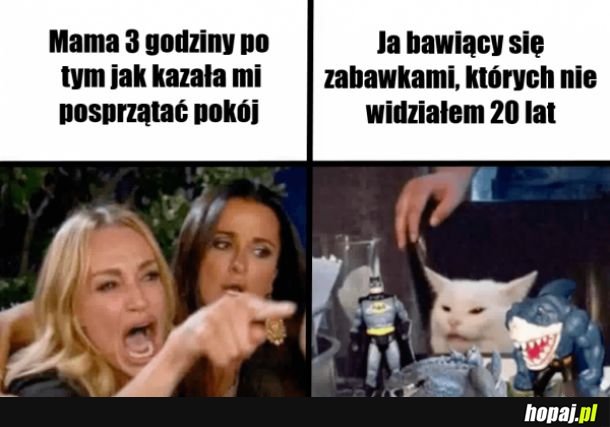 Znalezione zabawki