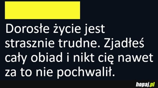 Dorosłe życie