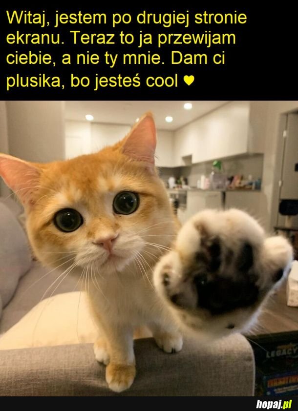Przewijanie obrazków
