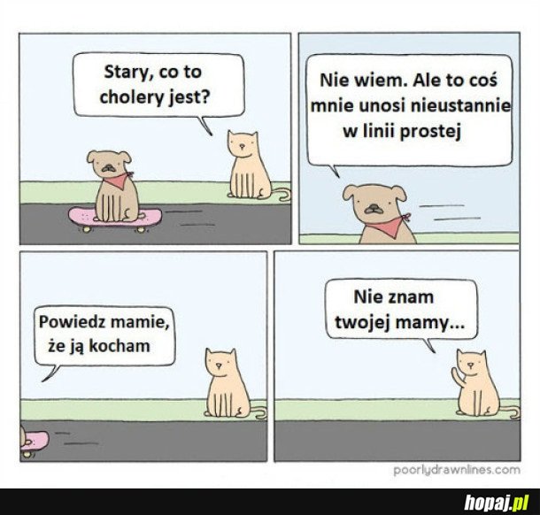 CHYBA UMRĘ