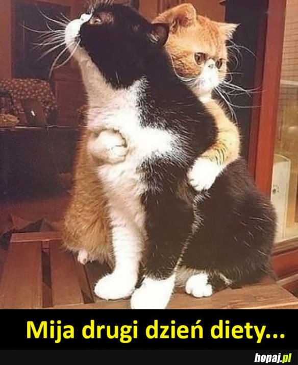 Życie
