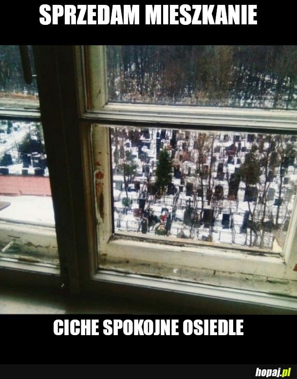 NA WIEKI