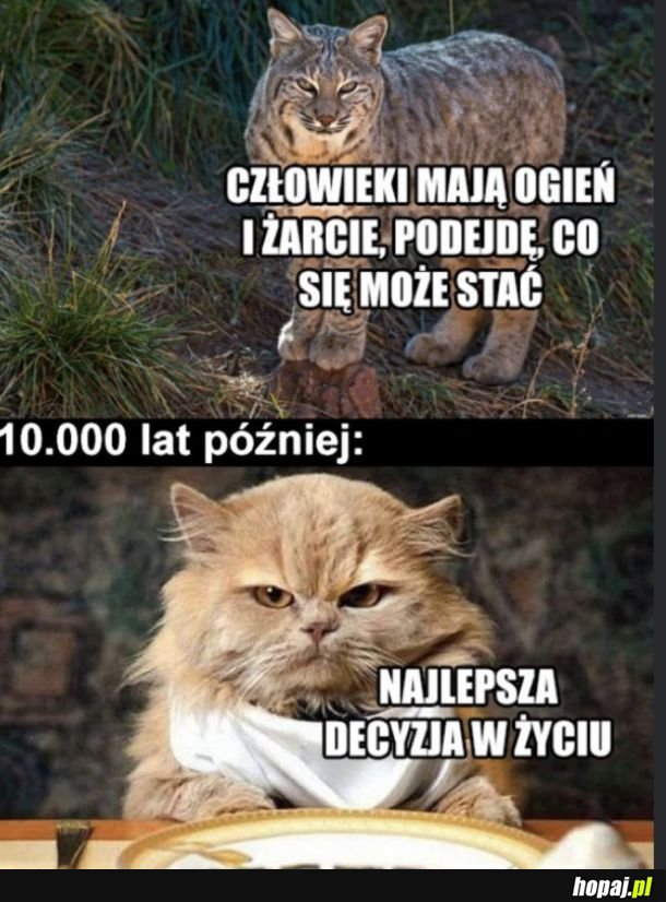 Najlepsza decyzja