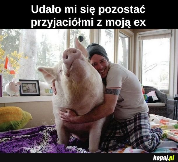 Przyjaź z ex jest możliwa 