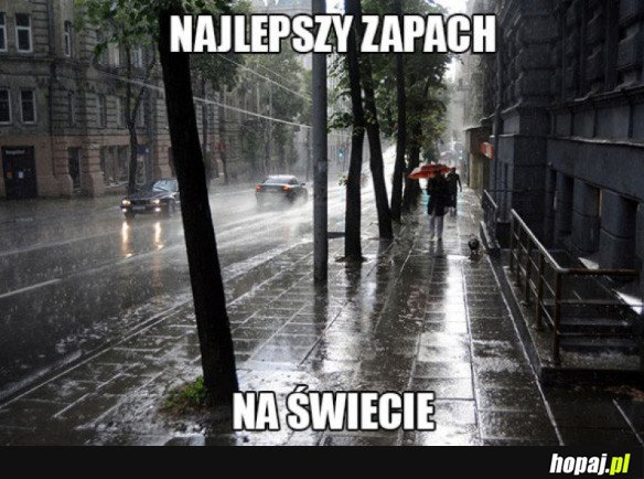 NAJLEPSZY ZAPACH