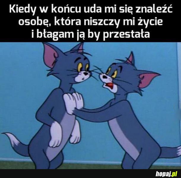 Niszczenie życia