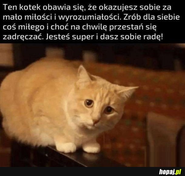 A taka rada