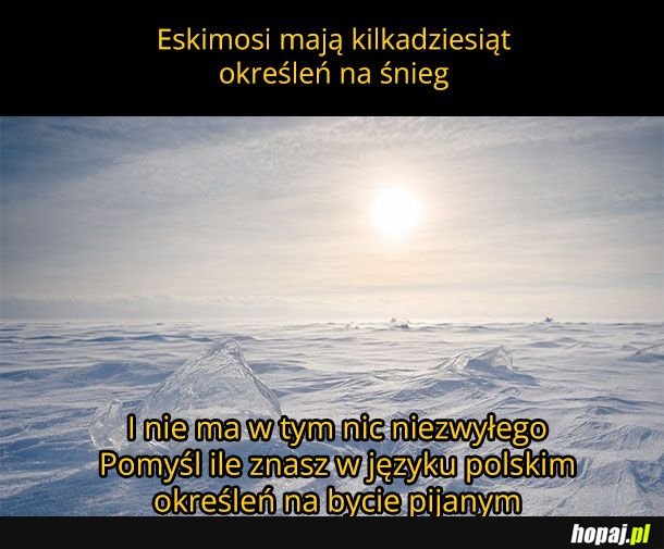 Ciekawostka