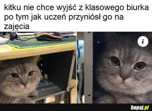 Ćśśś,chowam się, nie wydaj mnie