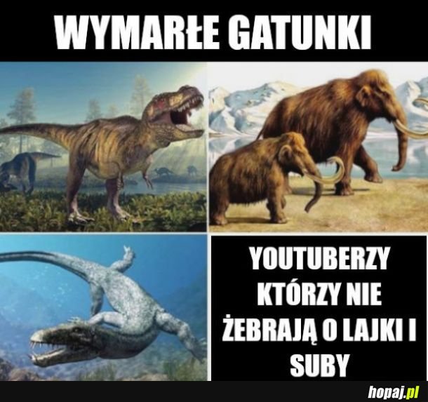 Wymarłe gatunki 