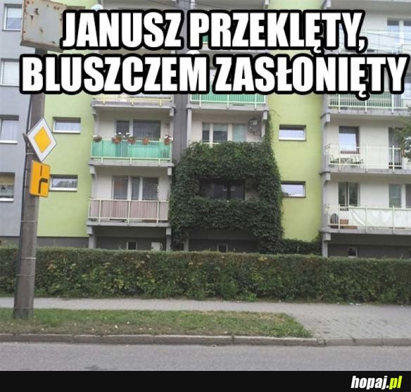 PRZEKLĘTY JANUSZ