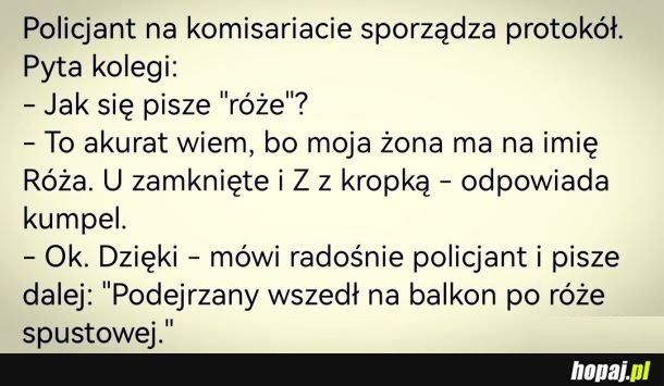 Róża
