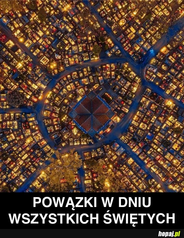 Niesamowity klimat