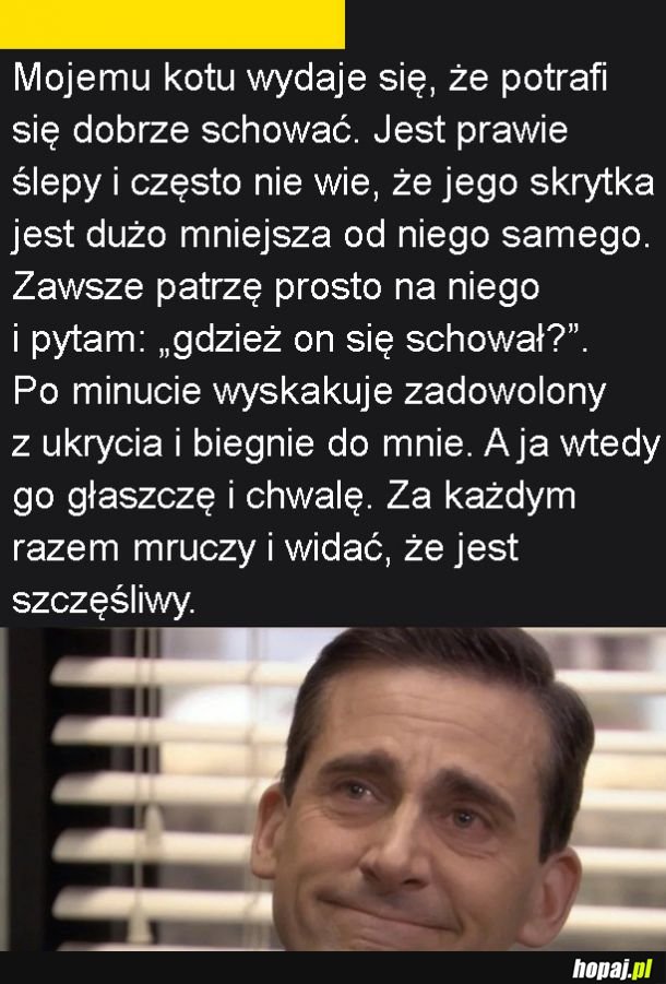 Ślepy kot