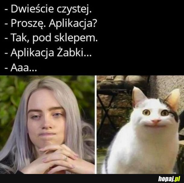 Żabka
