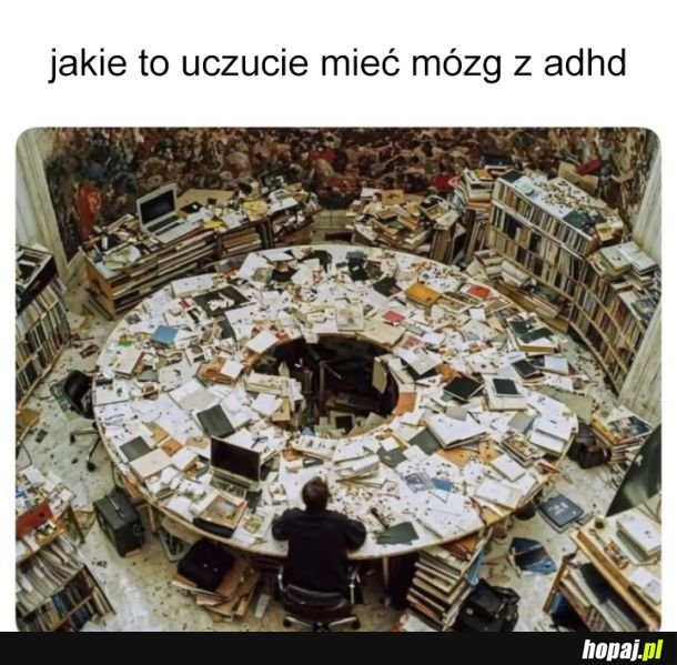 Mózg z adhd