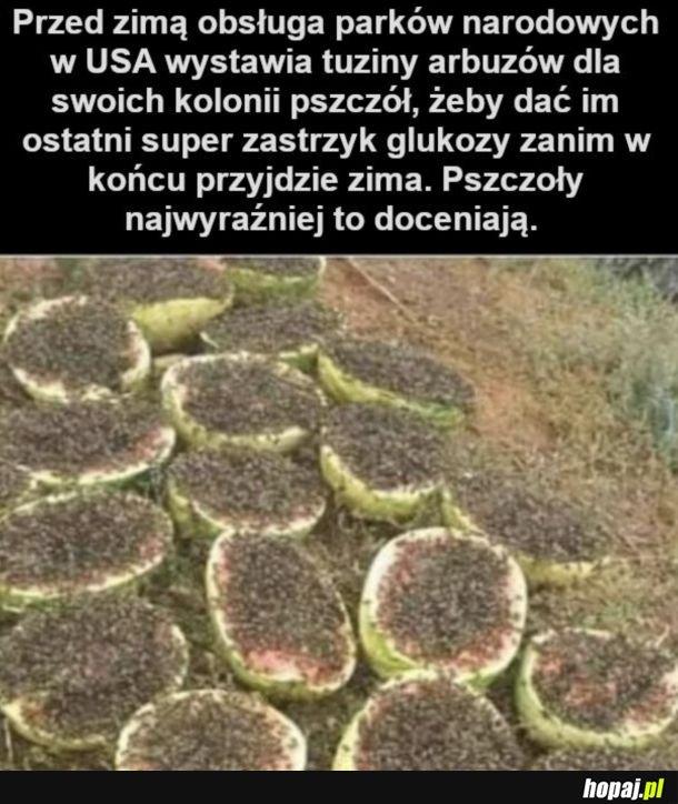 Doceniają