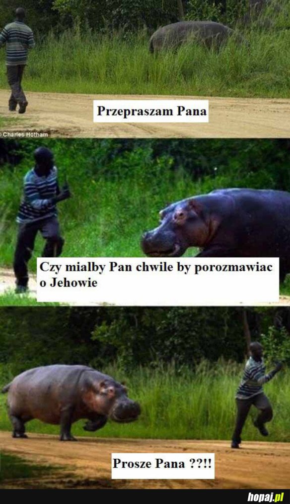 CHWILA NA ROZMOWĘ 