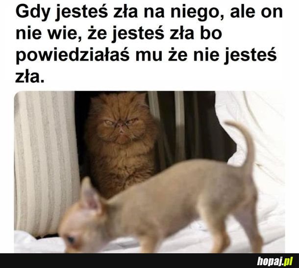 I  wszystko jasne xd