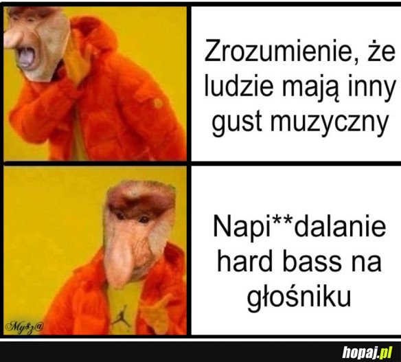 MUZYKA