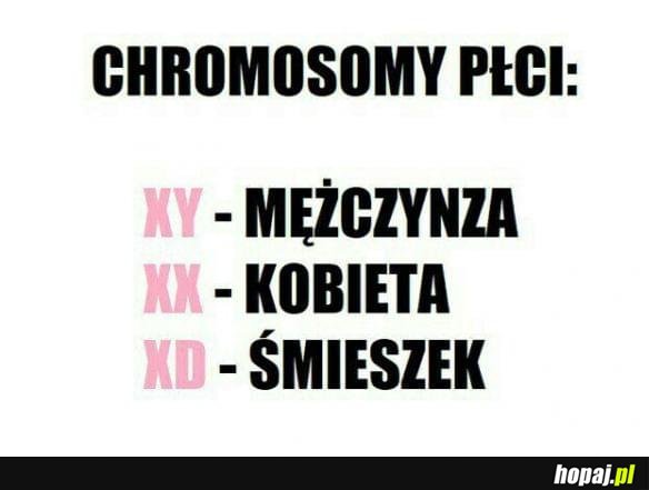 Chromosomy płci