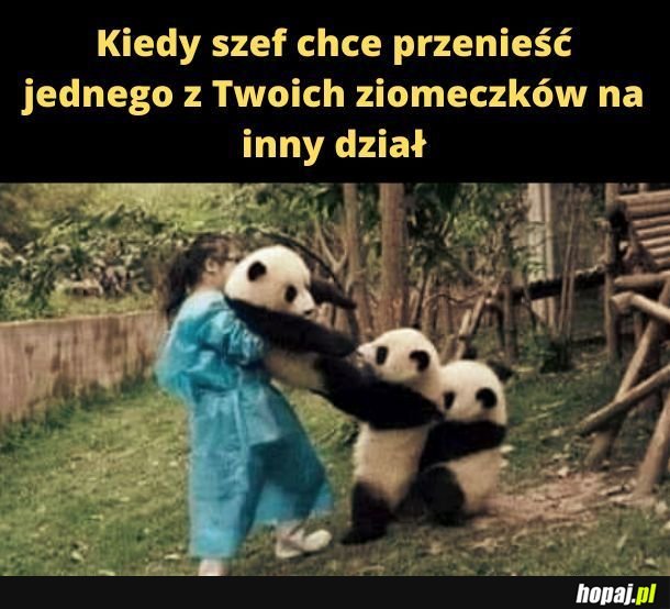 Ziomeczek