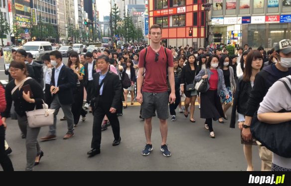 KIEDY MASZ 197CM WZROSTU I POLECISZ DO JAPONII