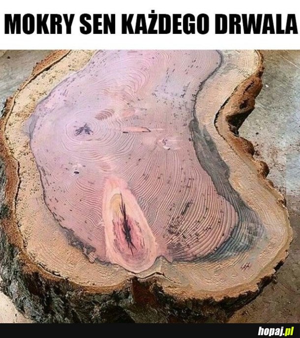 KAŻDY DRWAL O TYM MARZY