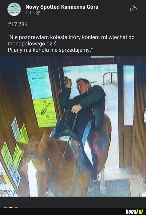 Dobrze, że koń trzeźwy