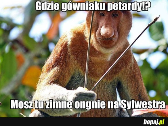 SYNEK PO CO PETARDY