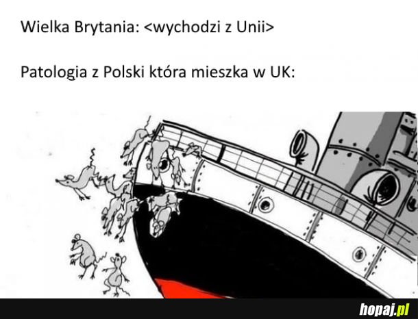 Polacy w UK 