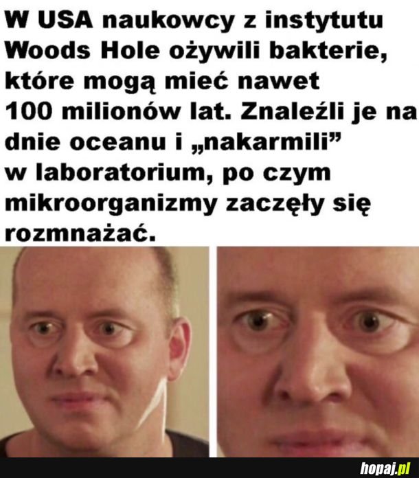 Po co?