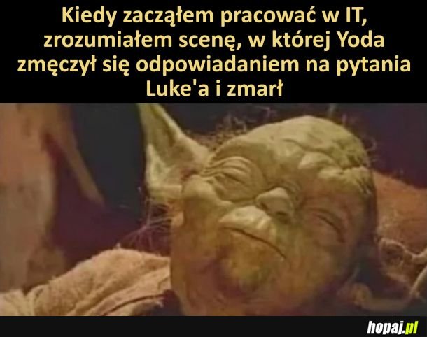 Praca w IT